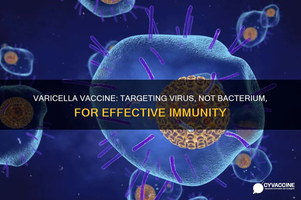does varicella vaccine target a virus or bacterium
