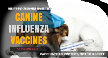 VIP Pet Care Mobile: Canine Influenza Vaccine Services Explained