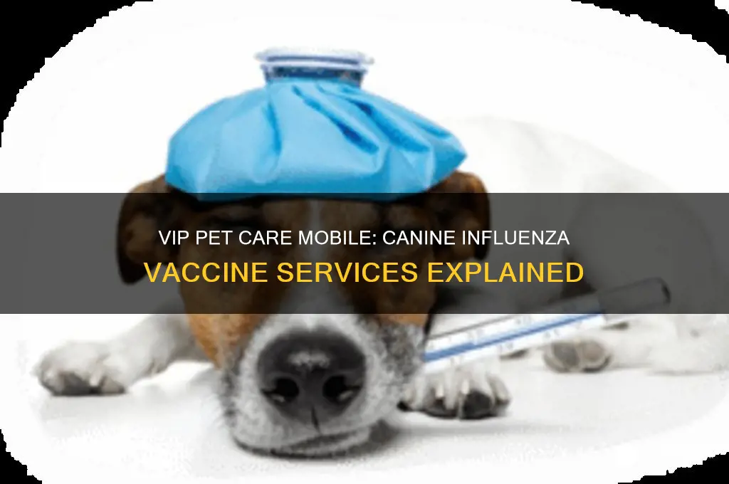 does vip pet care mobile administer canine influenza vaccines