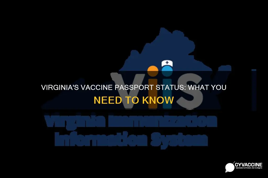 does virginia have a vaccine passport