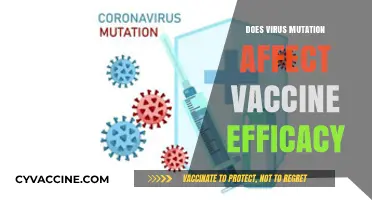 Virus Mutations: How Do They Impact Vaccine Effectiveness?