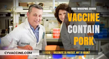 Whooping Cough Vaccine and Pork: Ingredients, Concerns, and Facts