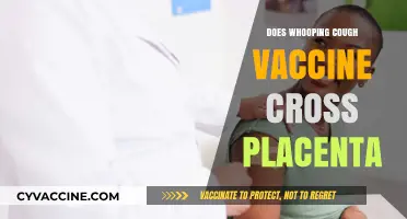 Can Whooping Cough Vaccines Cross the Placenta? What Research Shows