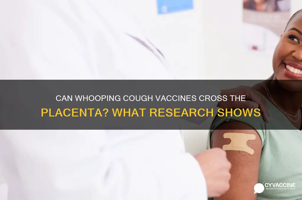 does whooping cough vaccine cross placenta