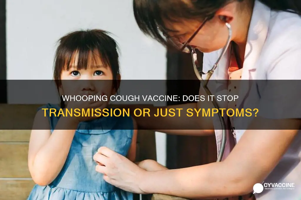 does whooping cough vaccine prevent transmission