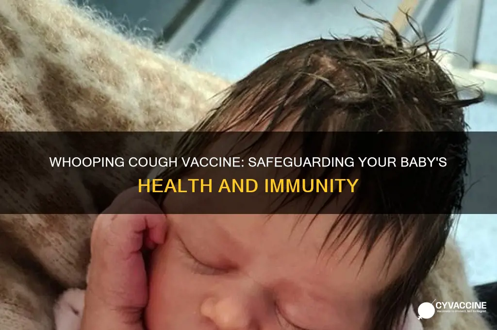 does whooping cough vaccine protect baby