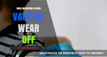 Does Whooping Cough Vaccine Protection Fade Over Time? What You Need to Know