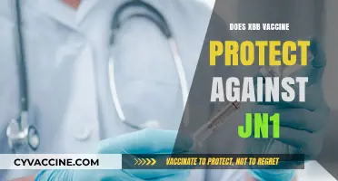XBB Vaccine Efficacy: Does It Shield Against the JN.1 Variant?