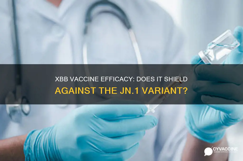does xbb vaccine protect against jn1