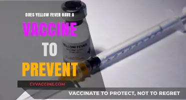 Yellow Fever: Vaccine Availability and Prevention Strategies Explained