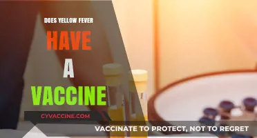Yellow Fever Vaccine: Availability, Effectiveness, and Global Protection
