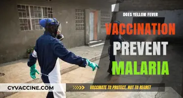 Yellow Fever Vaccination: Does It Protect Against Malaria?
