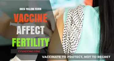 Yellow Fever Vaccine and Fertility: Separating Facts from Myths