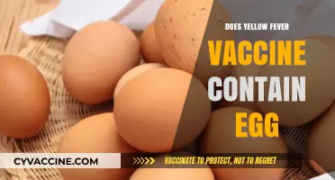 Does Yellow Fever Vaccine Contain Egg? Facts and Allergy Concerns