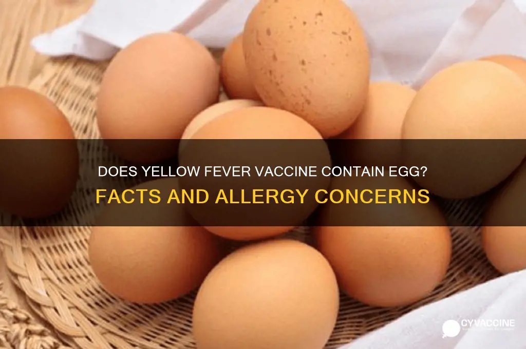 does yellow fever vaccine contain egg