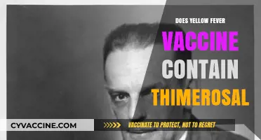 Yellow Fever Vaccine: Does It Contain Thimerosal? Facts Revealed