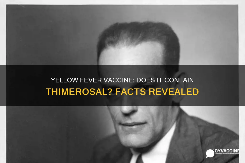 does yellow fever vaccine contain thimerosal