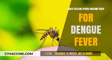 Yellow Fever Vaccine: Does It Offer Protection Against Dengue Fever?