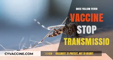 Yellow Fever Vaccine: Does It Prevent Transmission or Just Symptoms?