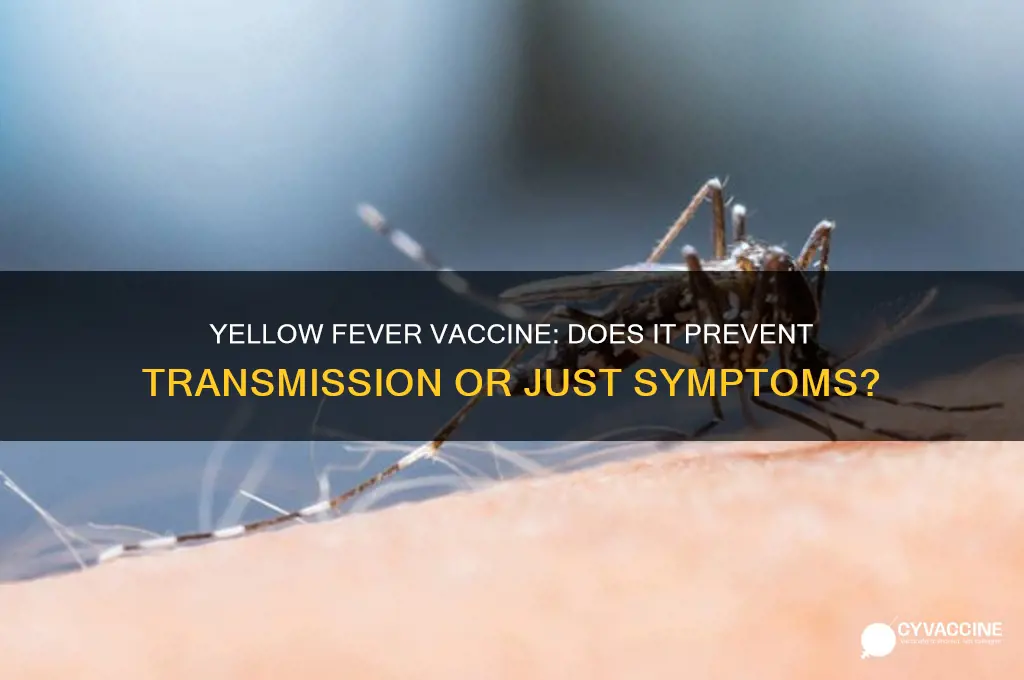 does yellow fever vaccine stop transmission
