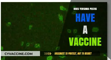 Yersinia Pestis Vaccine: Current Status and Future Prospects