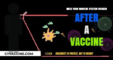 Does Vaccination Weaken Immunity? Separating Myths from Scientific Facts