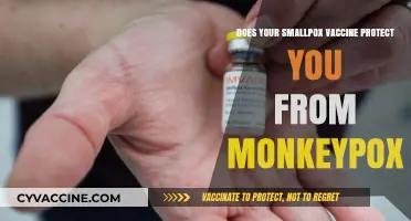 Smallpox Vaccine and Monkeypox: Does Past Protection Still Apply?