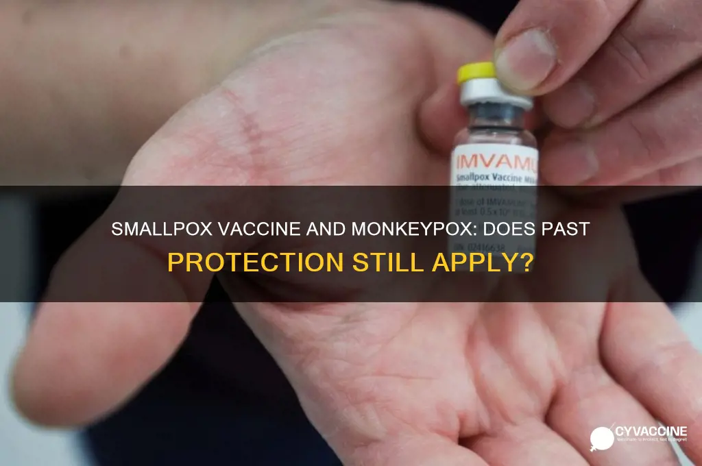 does your smallpox vaccine protect you from monkeypox