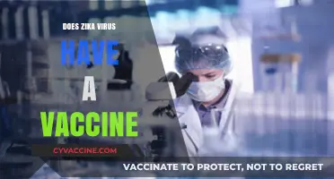 Zika Virus Vaccine: Current Status, Development, and Future Prospects