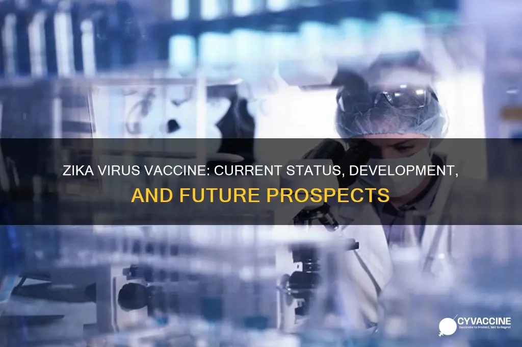 does zika virus have a vaccine