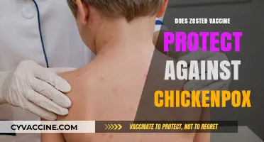 Can the Zoster Vaccine Prevent Chickenpox? Understanding Its Protection