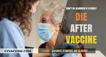 Understanding Post-Vaccination Elderly Deaths: Facts, Risks, and Reassurance