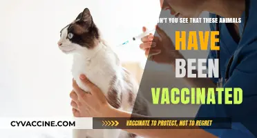 Vaccinated Animals: Ensuring Health and Safety for All Creatures
