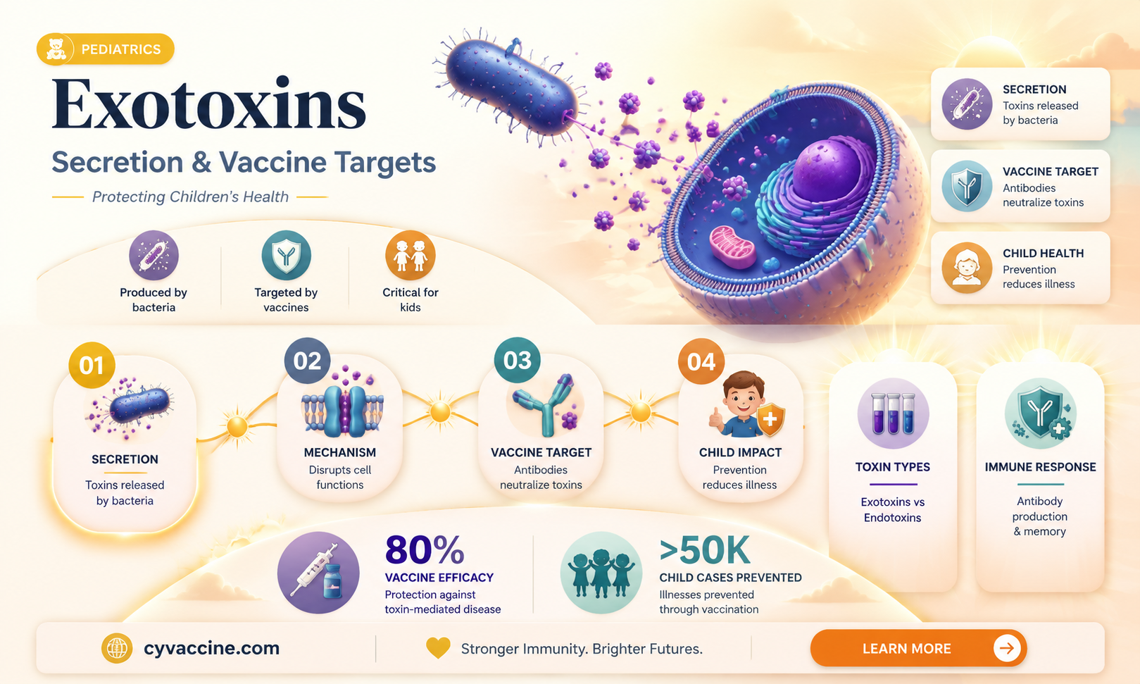 are exotoxins secreted and the targets of some childhood vaccines