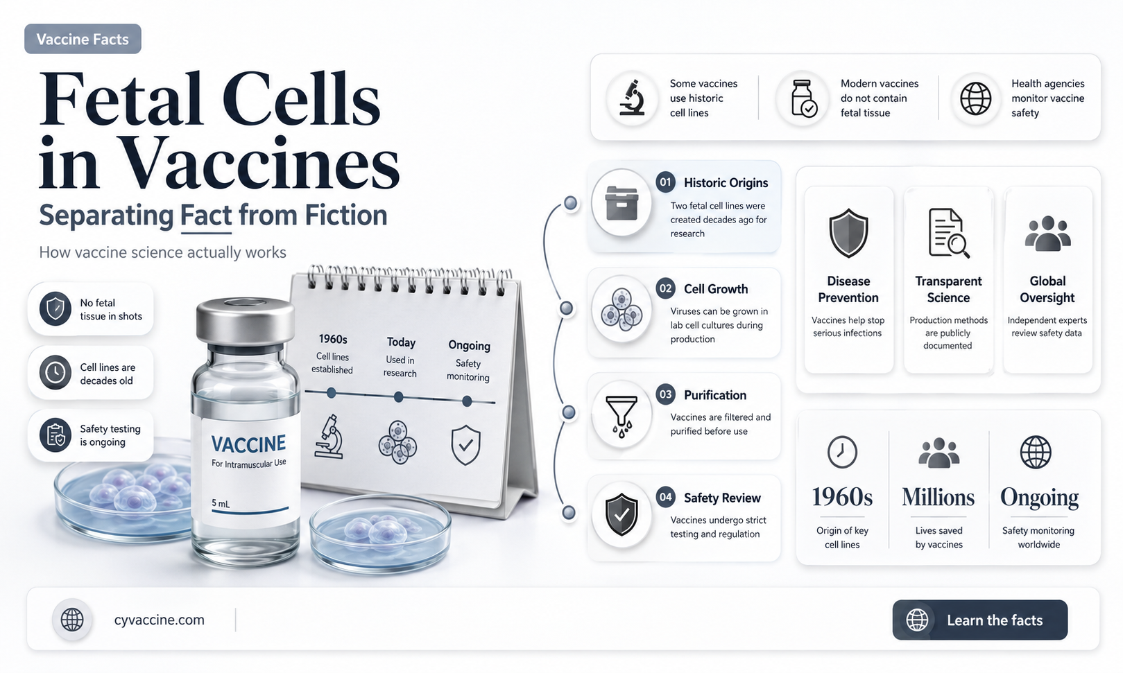 are there fetal cells in vaccines