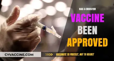 Booster Vaccine Approval: What You Need to Know Now
