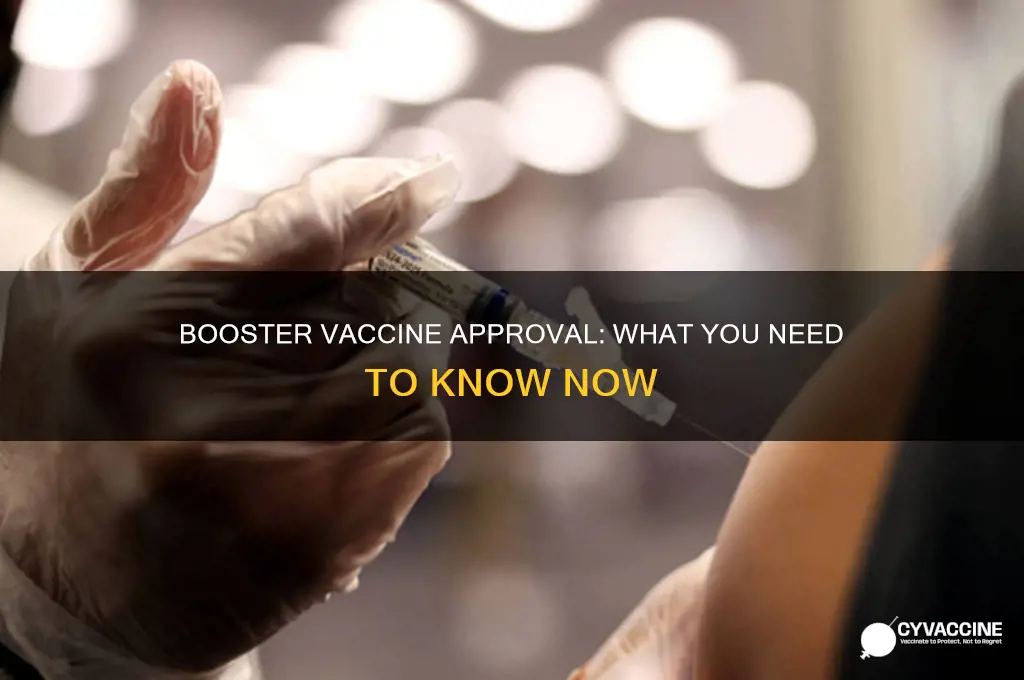 has a booster vaccine been approved