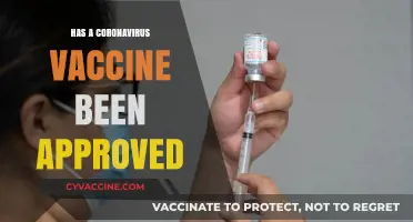 Coronavirus Vaccine Approval: Latest Updates and What You Need to Know