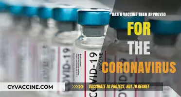Coronavirus Vaccine Approval: Latest Updates and What You Need to Know
