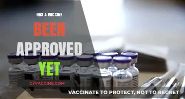 Latest Updates: Has a COVID-19 Vaccine Been Approved Yet?
