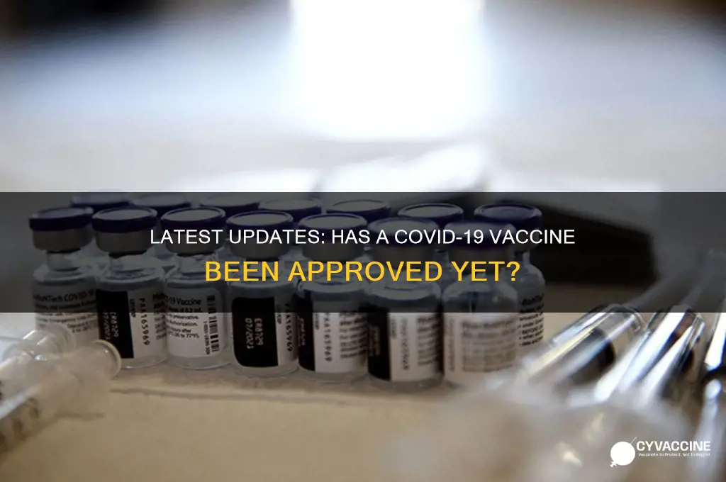 has a vaccine been approved yet
