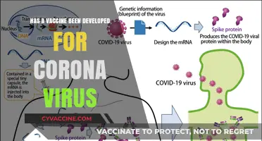Latest Updates: Has a Coronavirus Vaccine Been Developed Yet?