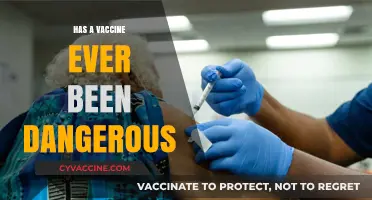 Vaccine Safety Concerns: Examining Historical Risks and Public Health Impacts