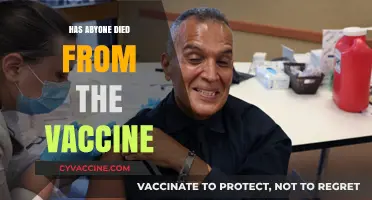 Vaccine Safety: Investigating Claims of Fatalities Post-Vaccination
