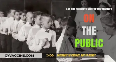 Forced Vaccinations: Historical Precedents and Public Health Ethics Explored