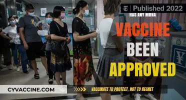 Are mRNA Vaccines Approved? Understanding Regulatory Status and Safety