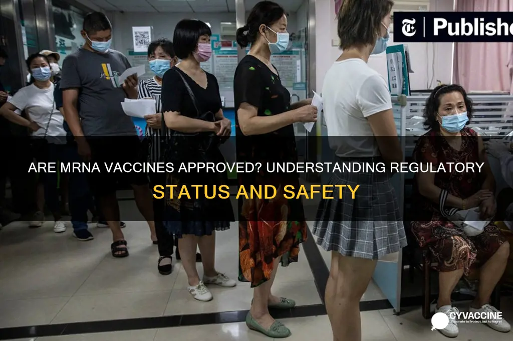 has any mrna vaccine been approved
