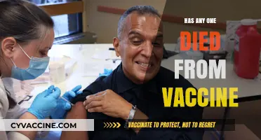 Vaccine Safety: Investigating Rare Fatalities Linked to Immunizations