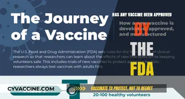FDA-Approved Vaccines: Which Ones Have Received Official Authorization?