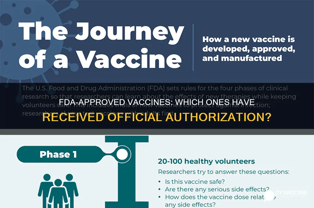 has any vaccine been approved by the fda